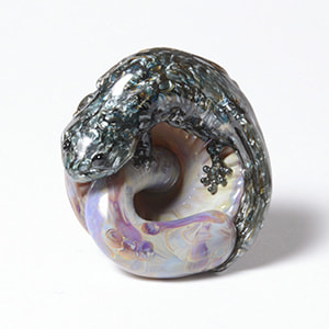 ケンタロー 販売中